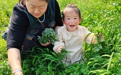 男人一边吻奶一边弄进去的视频